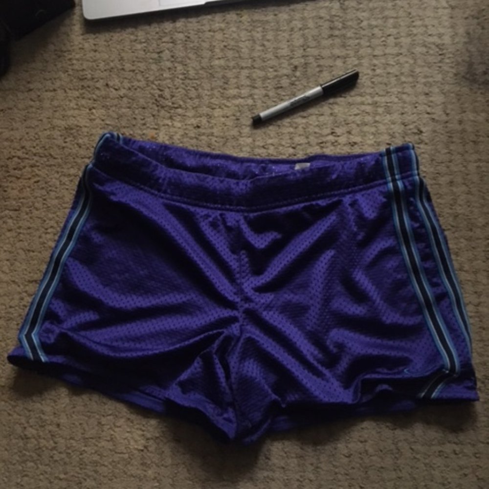 Nike Dri-Fit Mesh Shorts Large Purple Womens